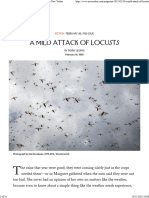 "A Mild Attack of Locusts," by Doris Lessing The New Yorker