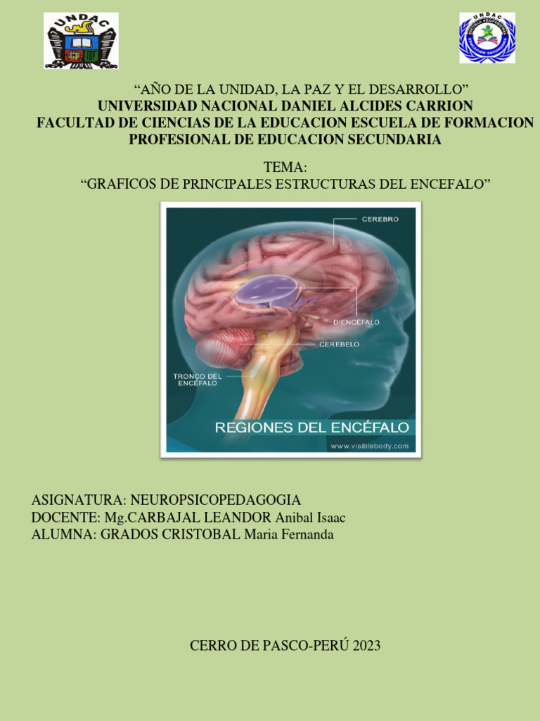 graficos-de-principales-estructuras-del-encefalo-pdf