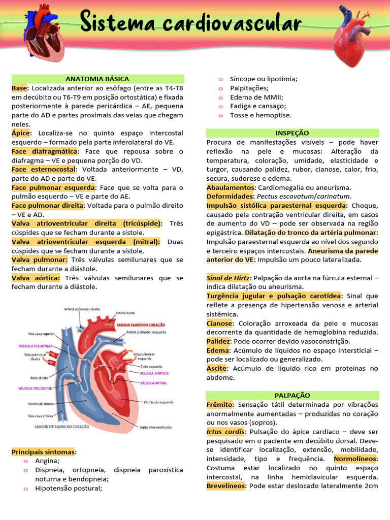 Semiologia Do Sistema Cardiovascular - Resumo | PDF | Coração ...