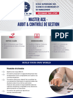 ESSEM Master Audit Controle de Gestion