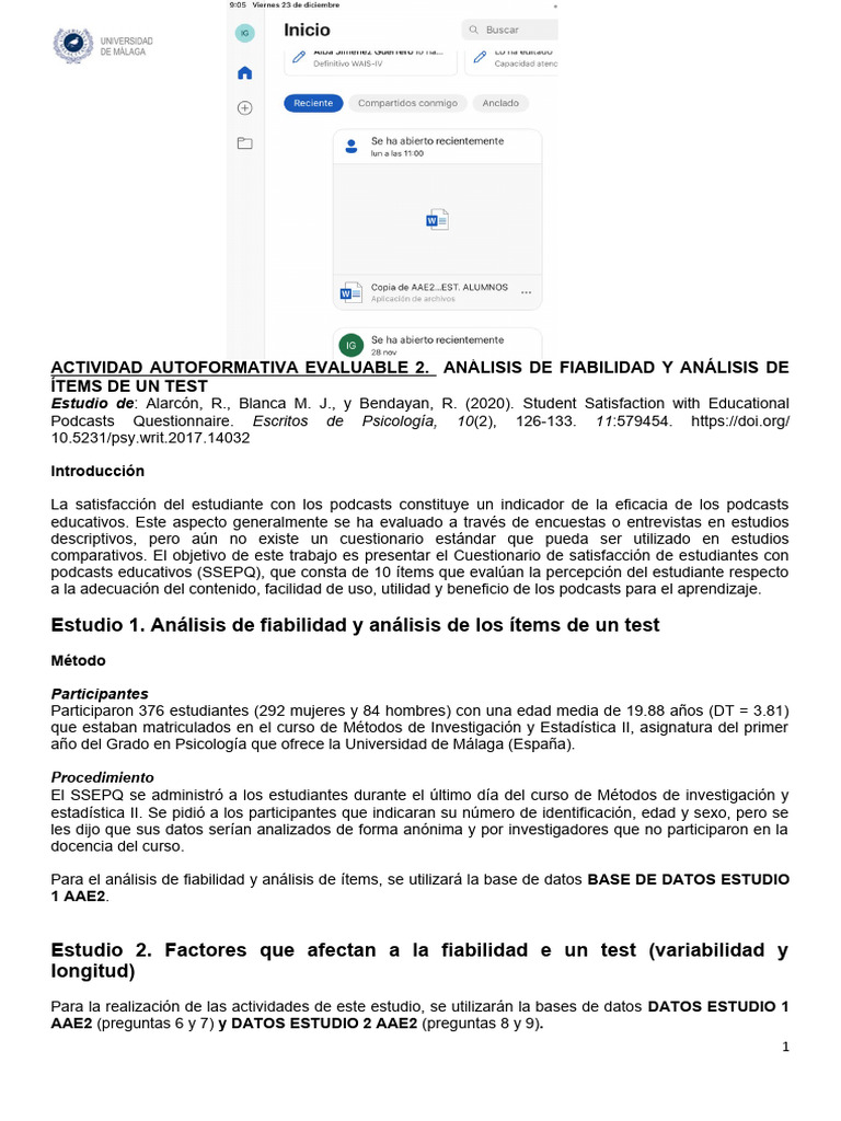 copia-de-aae2-an-lisis-de-fiabilidad-y-an-lisis-de-los-tems-de-un