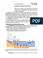 Complemento Adaptaciones de Aparato Vegetativo