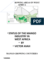 Status of The Mango Industry in West Africa