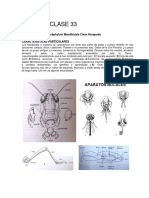 Phylum Arthropoda, Subphylum Mandibulata Clase Hexapoda