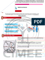 Resumenes Urgencias Gineco - Parto Eutocico 1