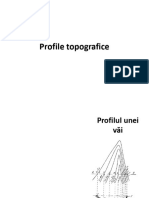 14 Profile Topografice Transcalculari 1