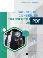 Rapport Provisoire - Feuille de Route - Mutualisation - DIDA - Neurotech Consulting