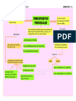 Actividad (3) - Esquema Video Presupuestos Procesales-Quisbert Machicado Ana Lupe