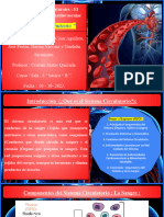 Trabajo de Ciencias Naturales (Biología Del Cuerpo Humano, PPT Del Sistema Circulatorio 8 Básico B) )