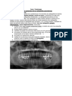 Tema 7 Radiologìa