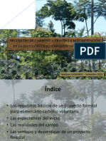 Reforestación en la Selva Central para secuestro de carbono