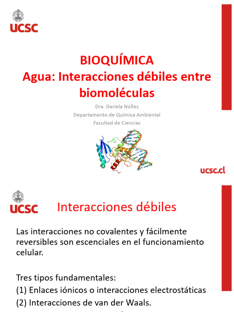Interacciones débiles en biomoléculas | PDF
