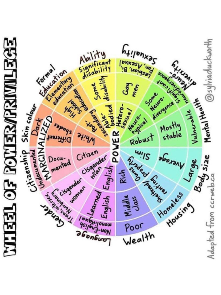 Wheel of Power Privilege Sylvia Duckworth | PDF
