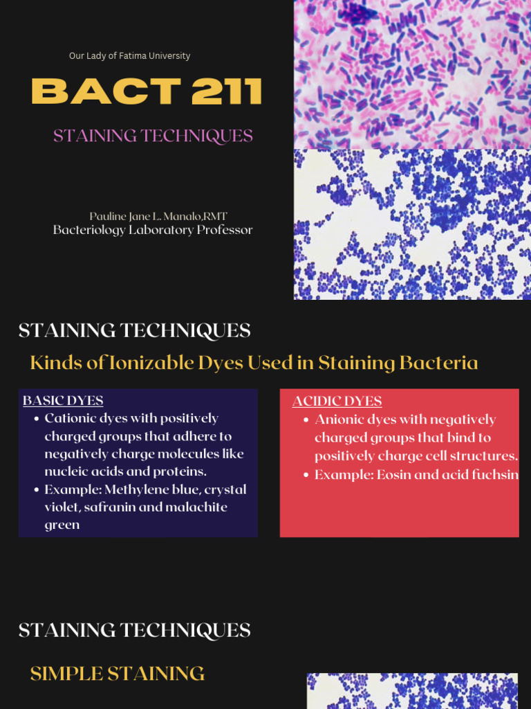 Staining Techniques | PDF | Staining | Gram Positive Bacteria
