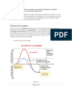  Bioquimica