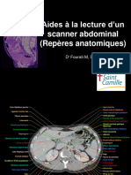 Presentation Aides A La Lecture D'un Scanner Abdominal
