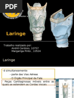 Laringe