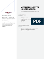 CV Luis Fernando