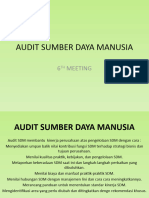 Pelaksanaan Audit - SDM