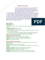 Clasificación Taxonómica Entomologia