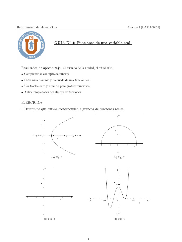 Guía de Funciones de Variable Real | PDF | Función (Matemáticas ...