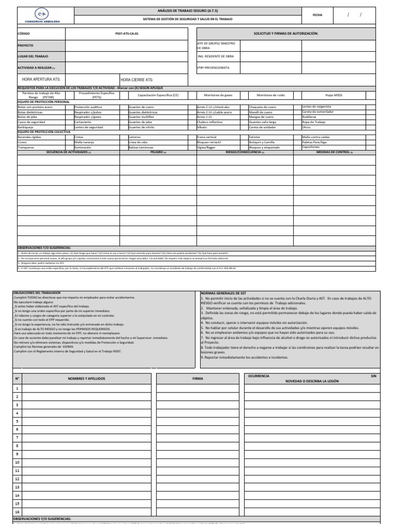 Formato Ats | PDF
