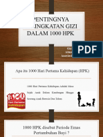 Gizi - 1000 HPK