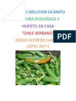 REPORTE 3 Crecimiento y Avance Del Huerto