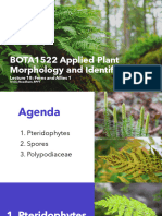 Lecture 18 - Ferns and Allies 1 2023
