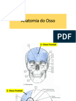 Aula+de+anatomia+de+ossos