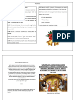 Progrma de Navidad