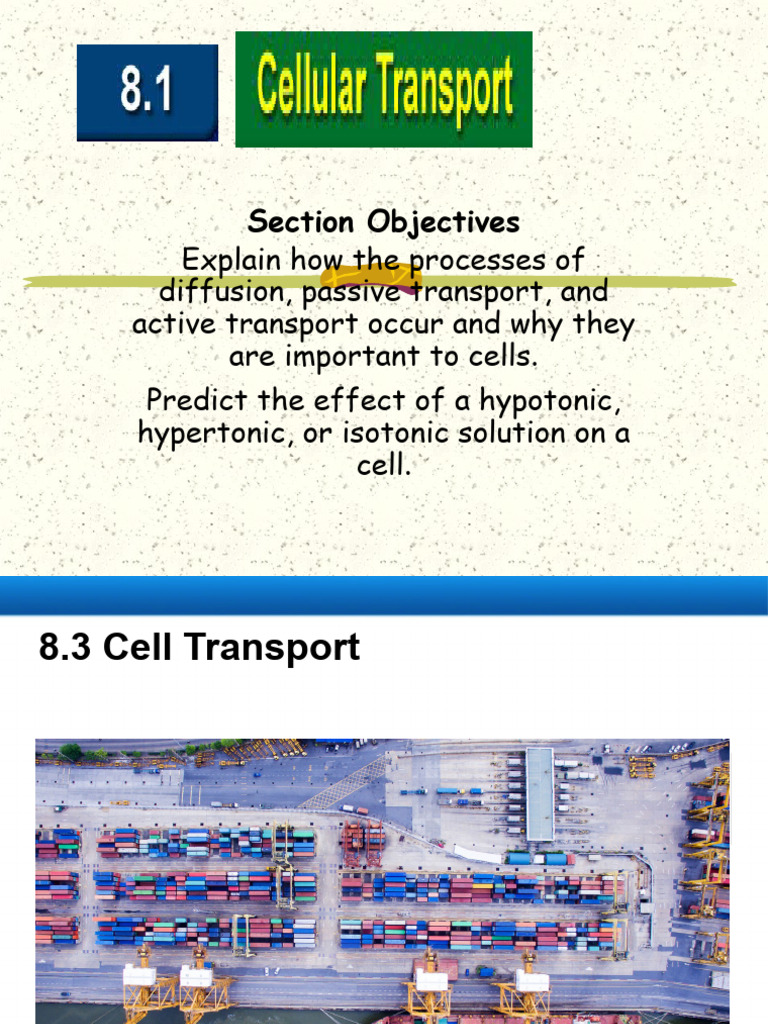 Cell Transport Mechanisms Explained | PDF | Osmosis | Biophysics