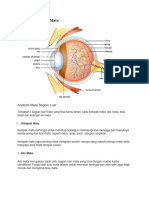 Bagian Dan Fungsi Mata