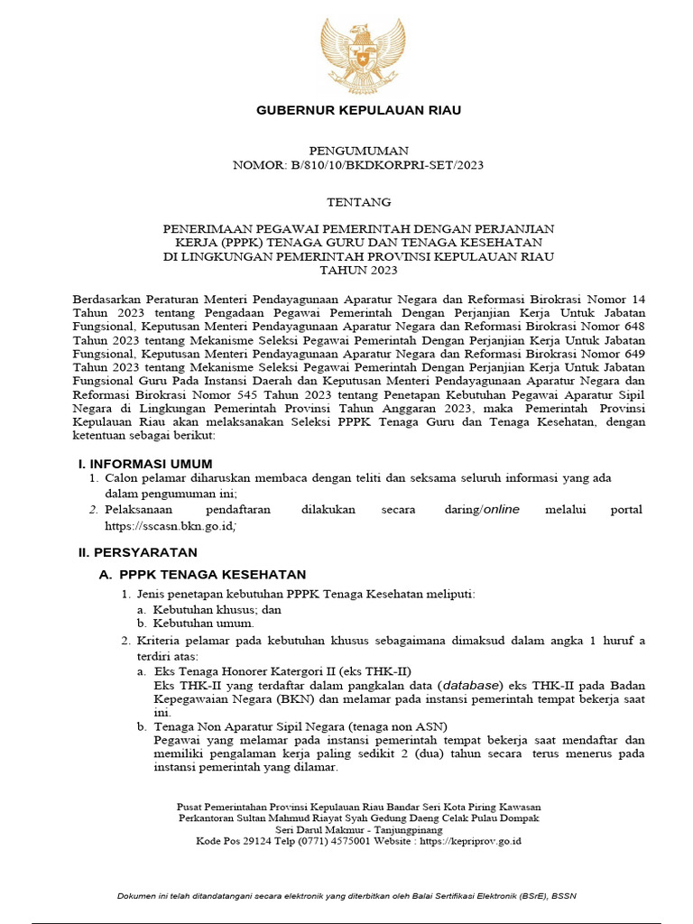 Pengumuman Penerimaan Pppk Guru Dan Tenaga Kesehatan Pdf