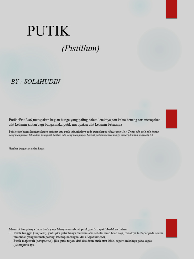 Putik | PDF