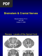 Download New Brainstem and Cranial Nerves by api-3742802 SN6765646 doc pdf