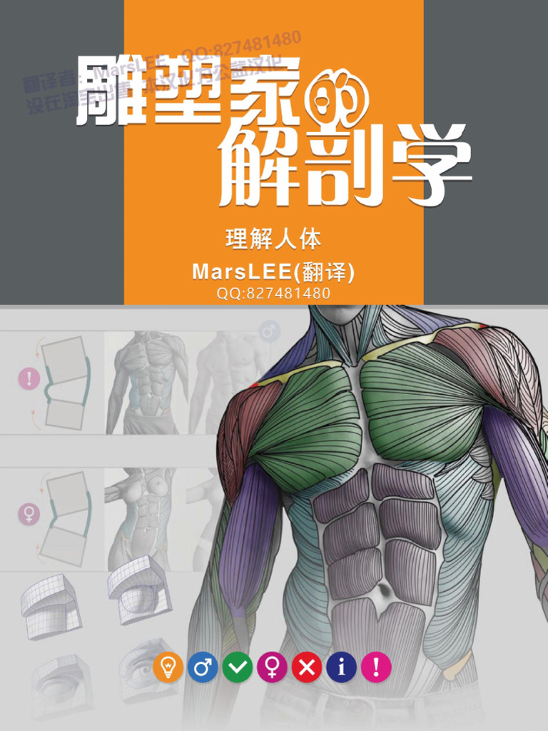 雕塑家解剖学 终极版 | PDF