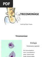 Trichomonas_vaginalis