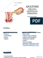 UR - Modul 4 Anatomi Organa Genitalia Feminina 2