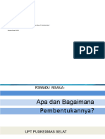 Posyandu Remaja