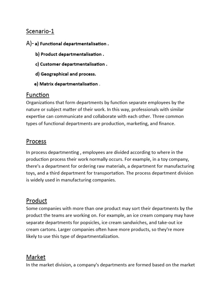 Business Departmentalization Guide | PDF
