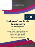 04 ensino-e-consultoria-colaborativa