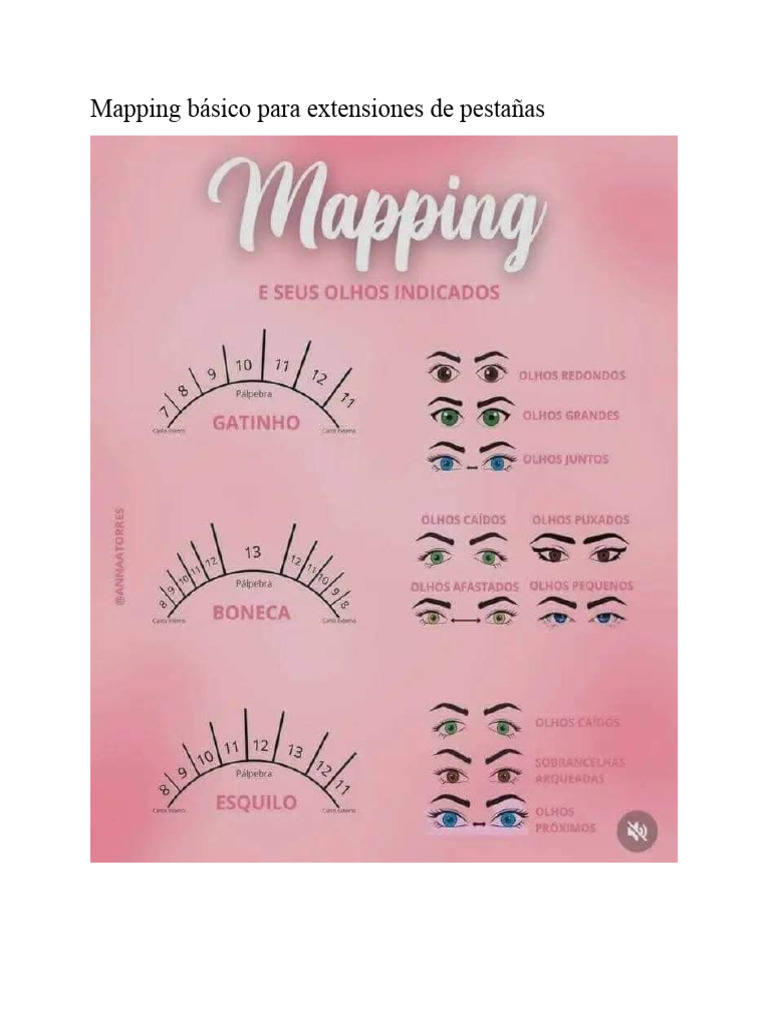 mapping-b-sico-para-extensiones-de-pesta-as-pdf