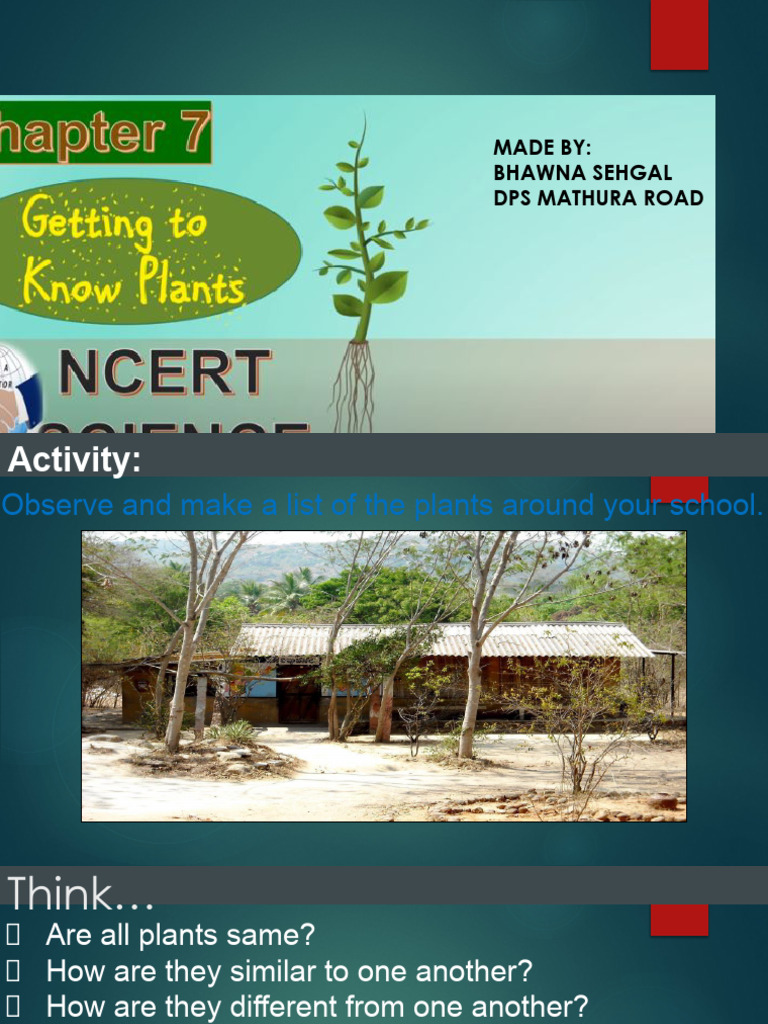 Getting To Know Plants Class 6