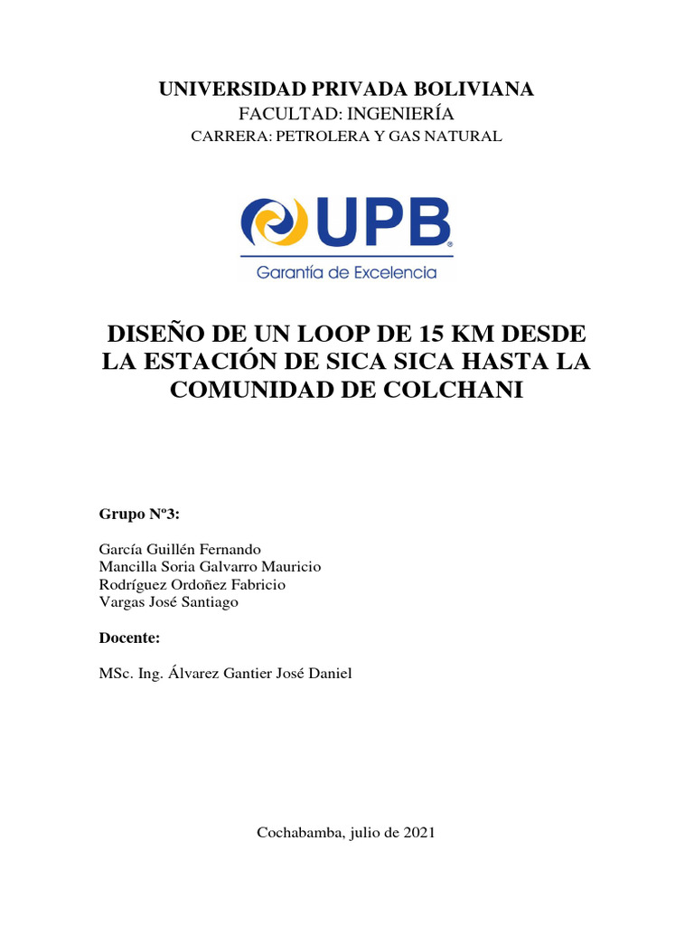 Diseño de Loop de Gas Natural en Bolivia | PDF | Gases | Ciencias fisicas