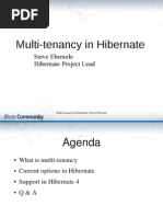 Multi-Tenancy in Hibernate: Steve Ebersole Hibernate Project Lead