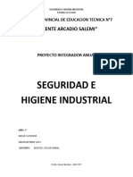 Proyecto Integrador Anual - Seguridad e Higiene