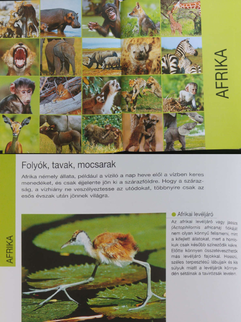 1000-llatk-ly-k-2-harmad-pdf