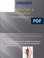 Cópia de Aula BIOLOGIA CELULAR ATUAL 2023 - Assinado