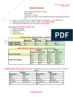 2.4  Ficha Informativa - Determinante